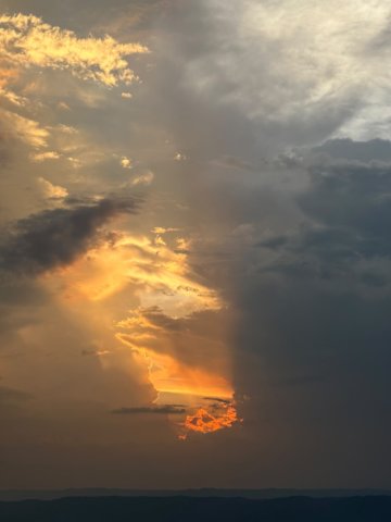 pca_foto05_20260921.jpg